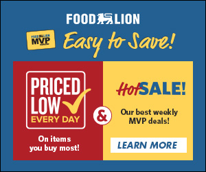 Food Lion Ad